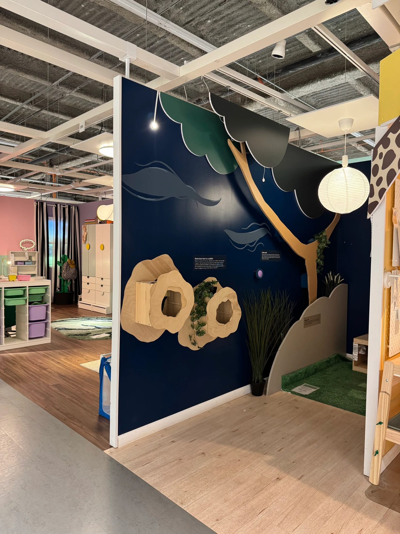 A blue children’s display with wooden meerkat-house shapes below a tree canopy.
